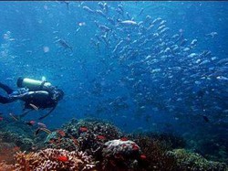 Menyelami Seribu Pesona Bawah Laut Kepulauan Selayar