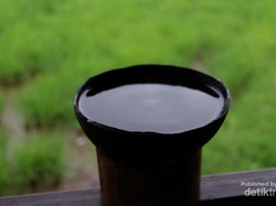 Menyeruput Kawa Daun, Kopi Perjuangan yang Bersejarah