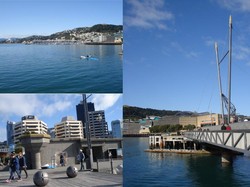 Menyusuri Apiknya Wellington, Selandia Baru