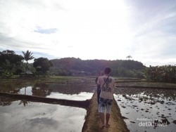 Menyusuri Gua Kelelawar yang Gelap & Mencekam di Sawarna