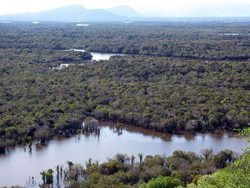 Merasakan Kehidupan Liar di Jantung Borneo