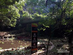 Minggu Pagi di Bandung: Jelajah Babakan Siliwangi