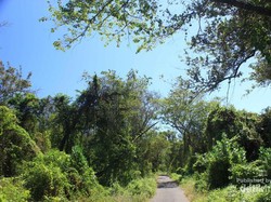 Miniatur Alam Indonesia di Taman Nasional Baluran