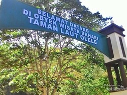 Mirip Lukisan Picasso Tapi di Bawah Laut, Ini Taman Laut Gorontalo