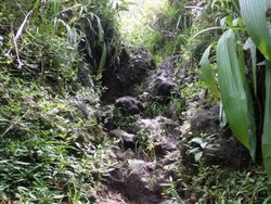 Miris! Kaki Gunung Tampomas yang Cantik Malah Jadi TPA Sampah