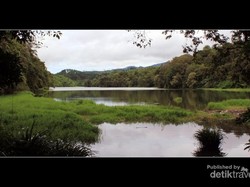 Misteri Ikan Lele Keramat di Telaga Ranjeng