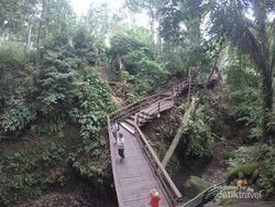 Monyet-monyet Menggemaskan di Bali