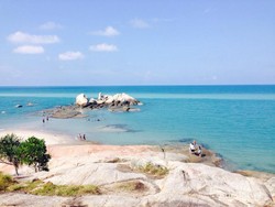Mudik ke Bangka, Sudah ke Pantai Tikus?