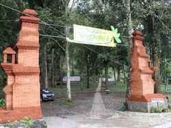 Mudik ke Karanganyar, Ada Tenggir Park yang Instagramable