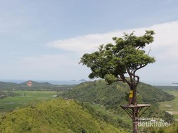 Mudik ke Pesisir Selatan di Sumbar, Ada Bukit Bendera yang Hits