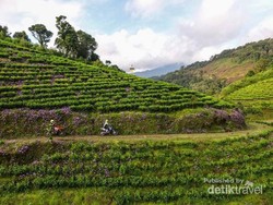 Naik Motor Sambil Bertualang ke Kaligua, Kenapa Tidak?