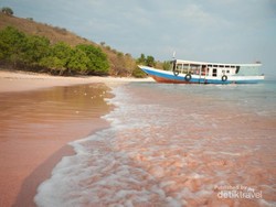 Namo, Satu Lagi Pantai Berpasir Pink di Komodo