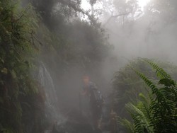 Napak Tilas Soe Hok Gie ke Gunung Pangrango