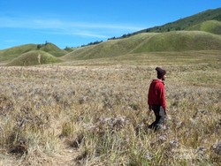 Negeri Khayalan di Bukit Teletubbies Bromo