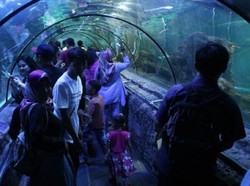 Ngabuburit dan Liburan Seru di Sea World Ancol