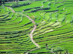 Nglanggeran, Gunung Api Purba yang Tetap Menawan