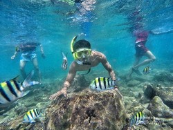 Nih, Tempat Menyelam yang Asyik di Gunungkidul