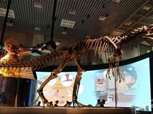 Nimba Ilmu di Museum Alam dan Sains Tokyo