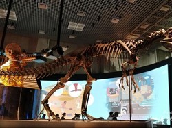 Nimba Ilmu di Museum Alam dan Sains Tokyo