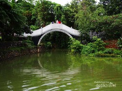 Nyatakan Cinta Saat Imlek? ke Jembatan Cinta di TMII
