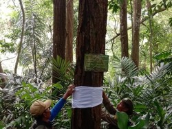 Oase di Tengah Kota Bandung, Tahura Djuanda