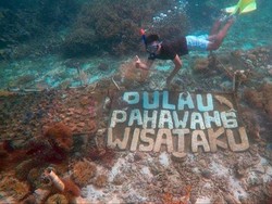 Oh Indahnya Pulau Pahawang