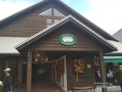 Oleh-oleh Bunga Kering yang Unik dari Jepang