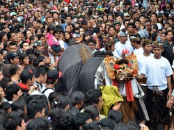 Omed-omedan: Cium, Peluk, Siram, dan Tarik!