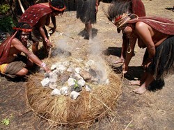 Orang Papua Punya Cara Memasak yang Paling Sehat