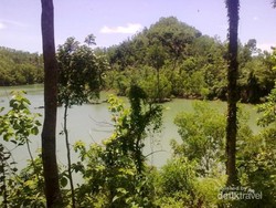 Pacitan Juga Punya Danau Cantik, Telaga Jebengan