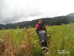 Padang Rumput yang Indah di Gunung Papandayan