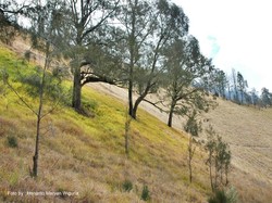 Pagi yang Romantis di Ranu Kumbolo