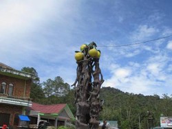 Pagoda Emas di Taman Alam Lumbini yang Ramai Saat Waisak