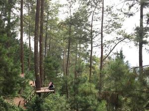 Panduan Liburan 3 Hari di Malang yang Penuh Kenangan