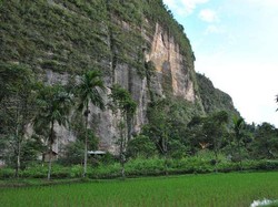 Panjat Tebing di Lembah Harau, Berani?