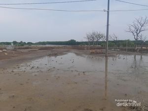 Pantai Bahagia yang Hampir Hilang oleh Abrasi