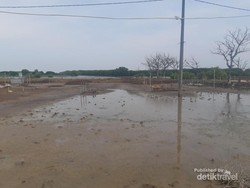 Pantai Bahagia yang Hampir Hilang oleh Abrasi