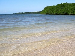 Pantai Bama, Permata di Africa van Java