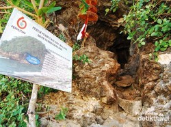 Pantai Goa Cina, Perawan yang Sedang Mekar di Malang
