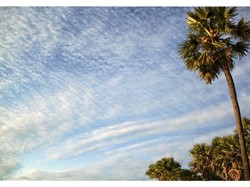 Pantai Lasiana, Sunsetnya Bikin Speechless