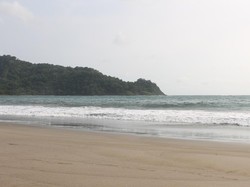 Pantai Nagellan, Mutiara Tersembunyi di Jember