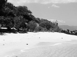 Pantai Nerewatutena, Si Perawan dari Flores