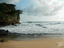 Pantai Ngetun, Rumah Favorit Penyu Bertelur di Gunungkidul