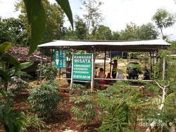 Pantai Ngrumput, Serasa Liburan di Pantai Pribadi