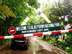 Pantai Plengkung di Taman Nasional Alas Purwo, Sempurna!