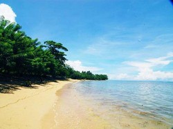 Pantai Tanjung Kasuari, Bagai Oase di Papua