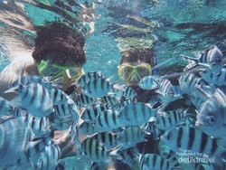 Pantai yang Indah Itu Ada di Utara Pulau Jawa