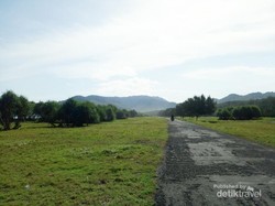 Papuma Memang Bikin Jatuh Cinta