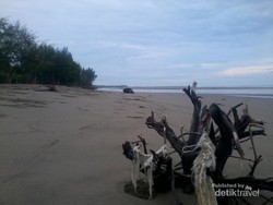 Pasi Aron, Terbitnya Fajar Mempesona di Aceh