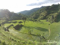 Pelesiran ke Desa Konoha Ala Indonesia